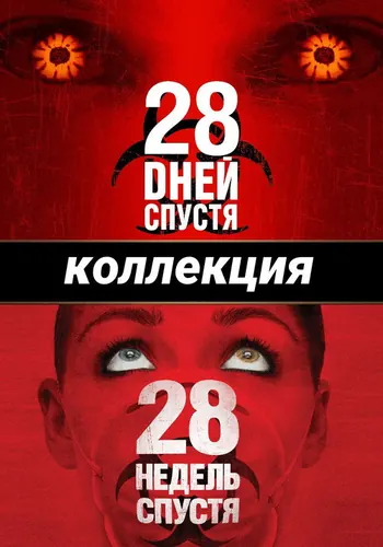 28 дней (2002)